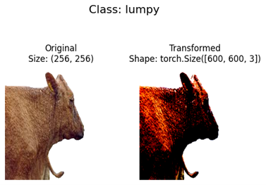 Images showing the accuracy of EfficientNet in transforming Class: LSD affected cattle