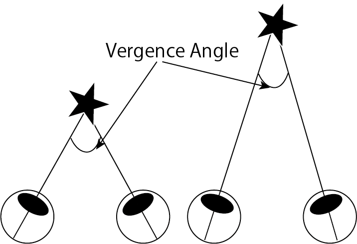 The angle of sight lines (vergence) was larger when viewing a near object than when viewing a distant object