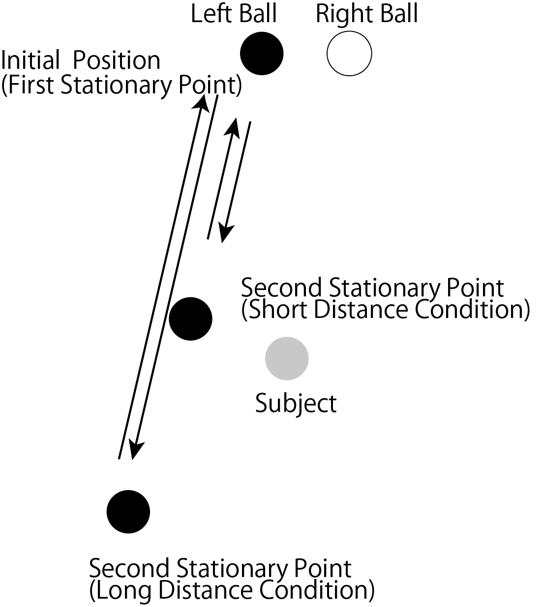 Under the short-distance condition, the left ball moved just in front of the subjects and returned to its initial position. Under the long-distance condition, it moved to the rear of the subjects and returned to its initial position.